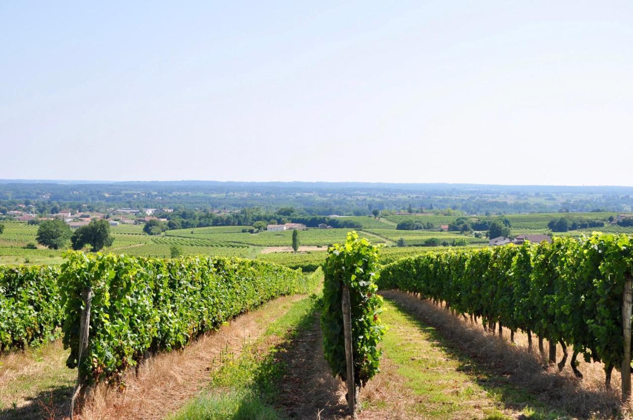 Clos Saint Sauveur - Guesthouse Au Coeur Des Vignes Sur Le Coteau Luaran gambar