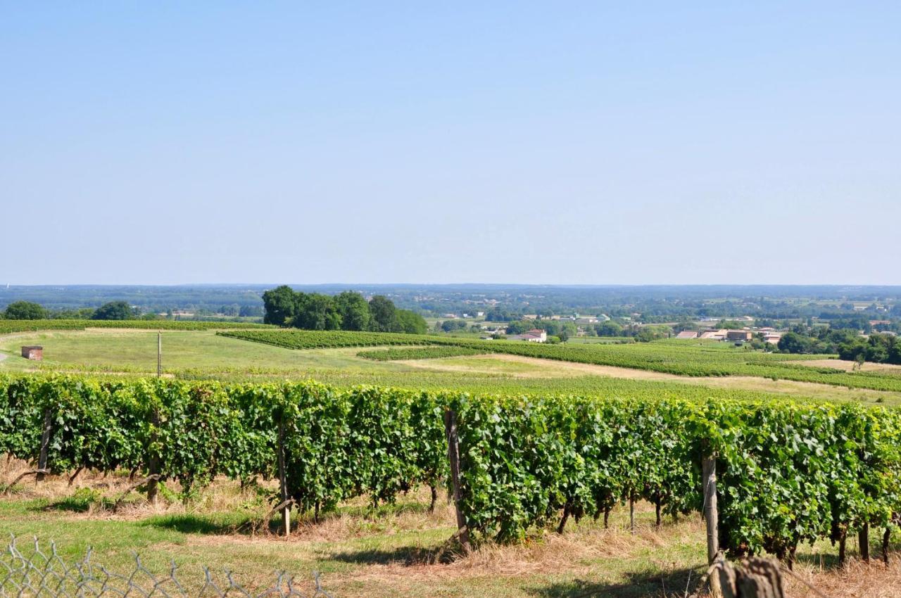 Clos Saint Sauveur - Guesthouse Au Coeur Des Vignes Sur Le Coteau Luaran gambar